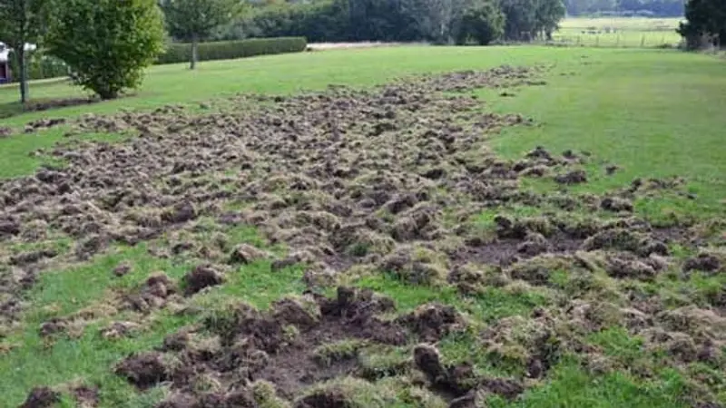 Un agriculteur porte plainte contre l’OFB