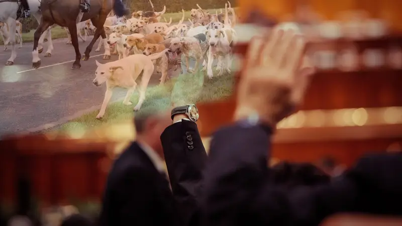 Nouvelle loi chasse : les Sénateurs durcissent le délit d’entrave à la chasse