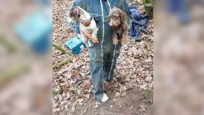 deux chiens sauvés d'un terrier de renard dans l'Aveyron