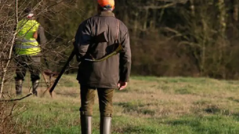 Le nombre d’accidents de chasse en hausse