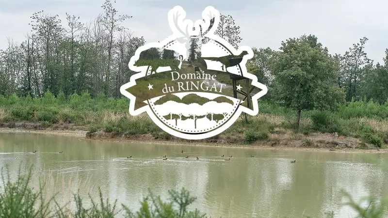 Le domaine du Ringat