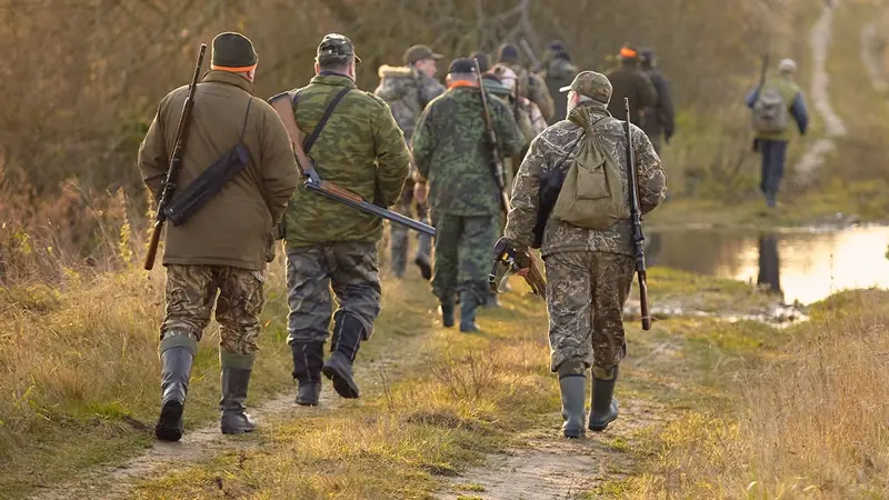 Dordogne, les chasseurs ne renouvellent pas leurs permis, pourquoi ?
