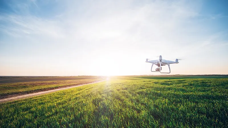 Belfort : les drones des chasseurs sauvent les animaux