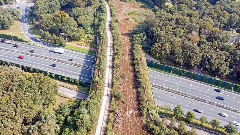 La construction du plus grand pont à gibier du monde a commencé