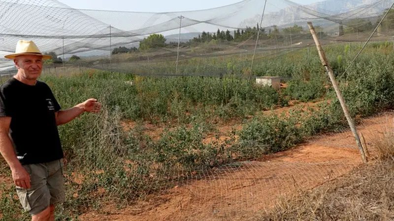 Un élevage de faisans vandalisé dans les Bouches-du-Rhône