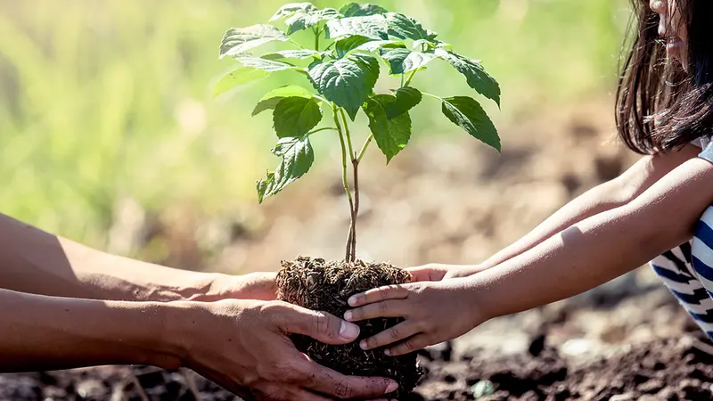Les chasseurs du Gard continuent de planter des arbres avec les enfants