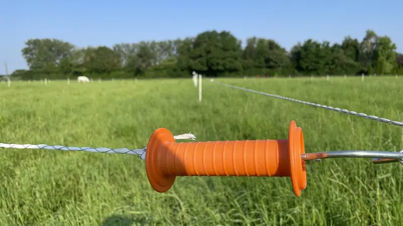 Innovation : une clôture anti-sangliers de 14 000 volts !