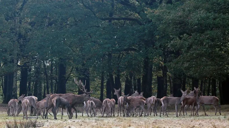L’espace Rambouillet, lieu mythique, confié à une société privée