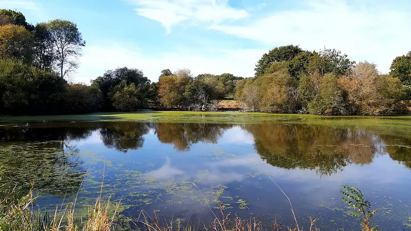 La Fédération de chasse de Loire-Atlantique achète un étang à Guérande dans le but de protéger le site