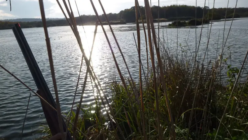 Chassez le gibier d’eau en Meurthe-et-Moselle sur un superbe territoire !