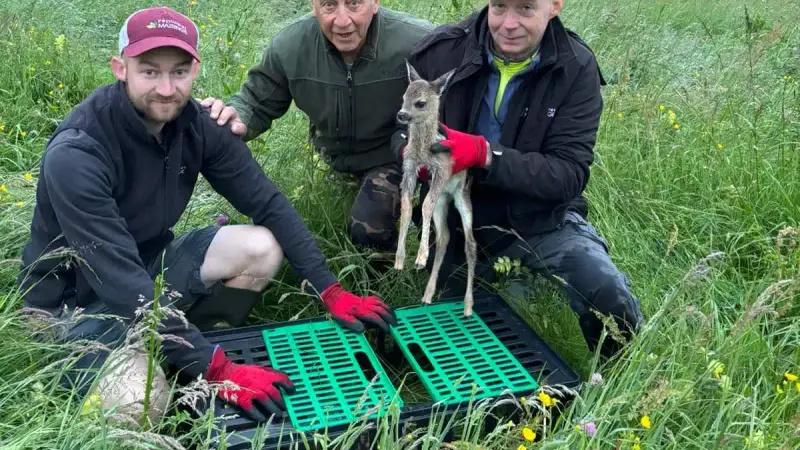 171 faons sauvés par les chasseurs de Haute-Savoie grâce aux drones thermiques