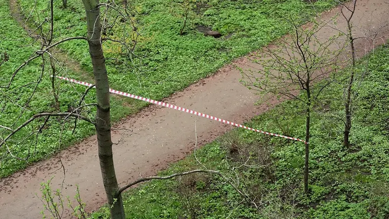 Une femme tuée par des chiens en forêt de Retz (02)