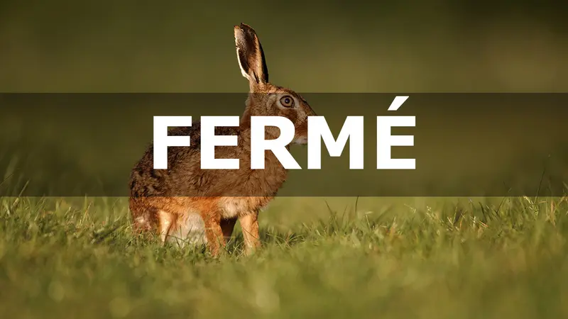La chasse du lièvre, lapin et de la perdrix suspendue dans l’Aude