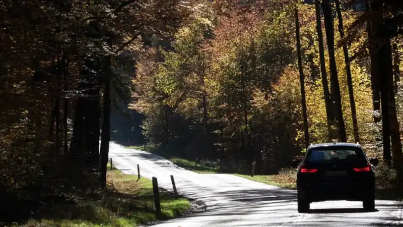 Trop de promeneurs en forêt : l’ONF ferme 5 routes forestières en Alsace