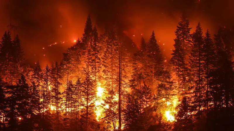 Les chasseurs livrent 250 repas aux pompiers
