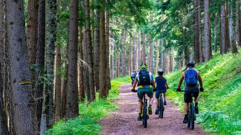 Les chasseurs pourraient interdire l’accès aux chemins publics lors des battues?