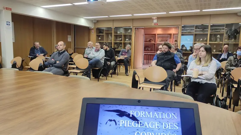 La FDC 57 forme gratuitement les agriculteurs à piéger les corvidés