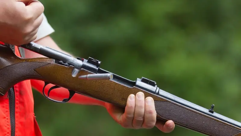 Bilan des accidents de chasse 2023/2024