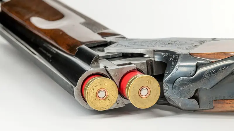 Résultat du sondage : quel est le calibre idéal pour un fusil de chasse ?