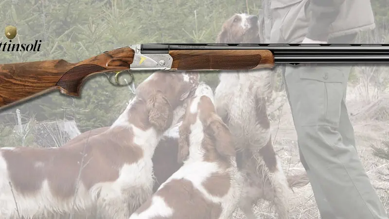 Fusil chasse Bettinsoli crypto