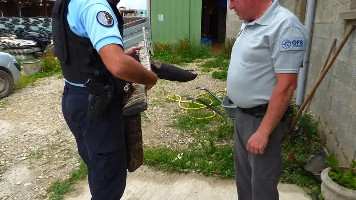 5 braconniers interpellés dans la Manche