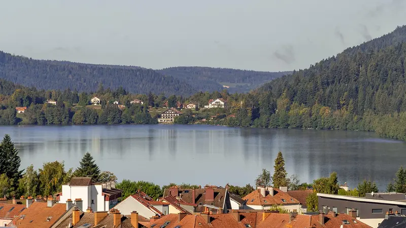 Gérardmer fait interdire la chasse des oiseaux sur la commune