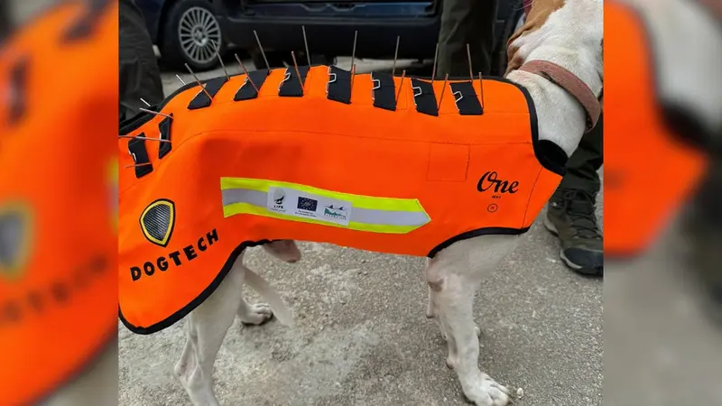 gilet anti-loups