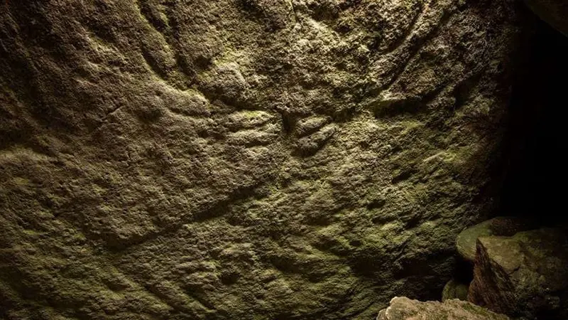 Des gravures préhistoriques de cerfs découvertes en Écosse