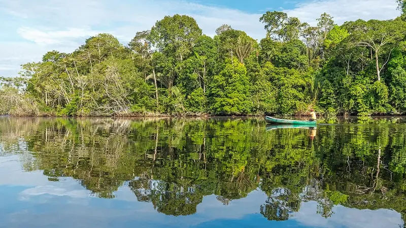 Guyane : la Fédération des chasseurs et l’Office National des Forêts signent une convention inédite