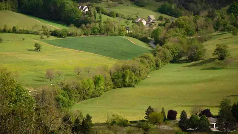 observatoire de la haie