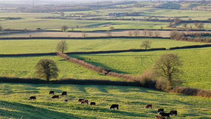 Un agriculteur arrache 3 km de haies, il est condamné à en replanter 10 km.