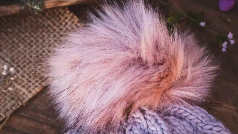 Elle confond un hérisson et un pompon