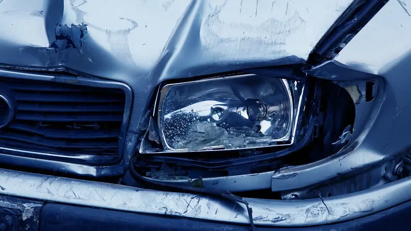 Un automobiliste décède après avoir percuté un sanglier.