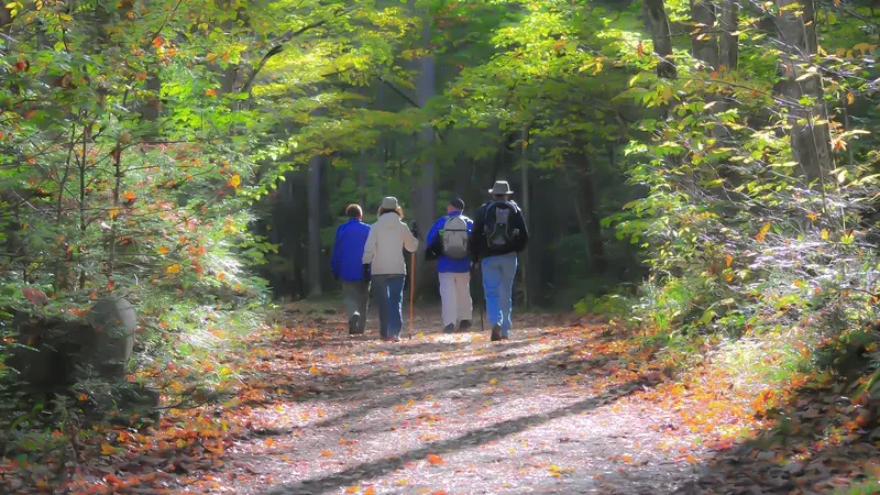 Charente : les chasseurs organisent leur nouvelle édition de leur randonnée « Chassons le cancer »