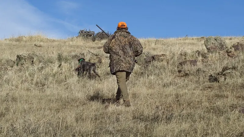 Le prix des cartes de chasse risque bien d’augmenter pour la saison prochaine