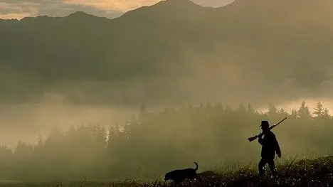 Un chien blesse un chasseur