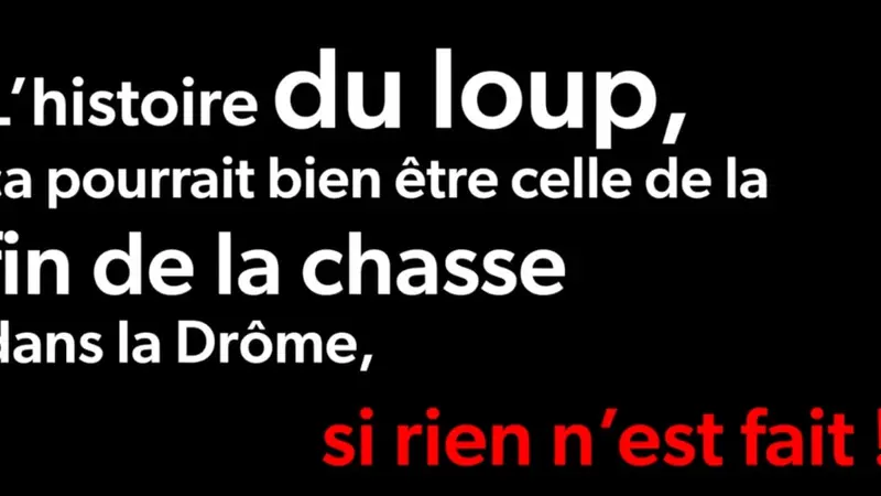 A cause du loup, la Fédération des chasseurs annonce la fin de la chasse dans la Drôme