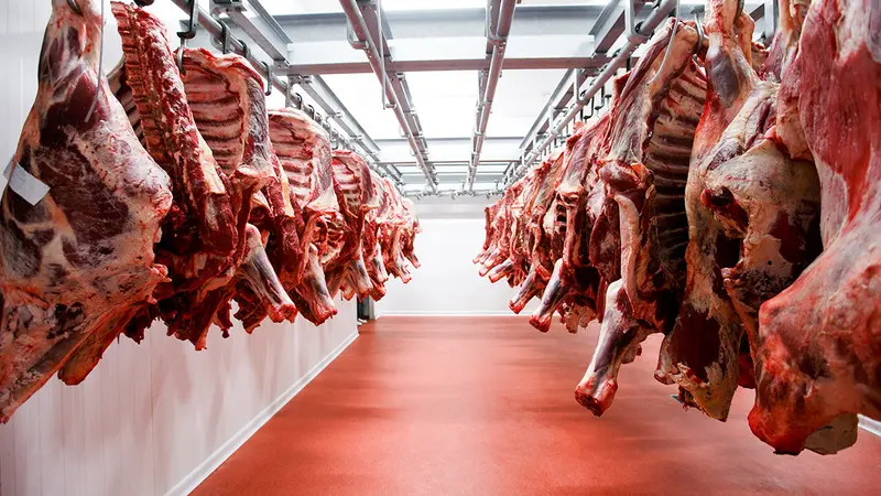6 militants de la cause animale mis en examen