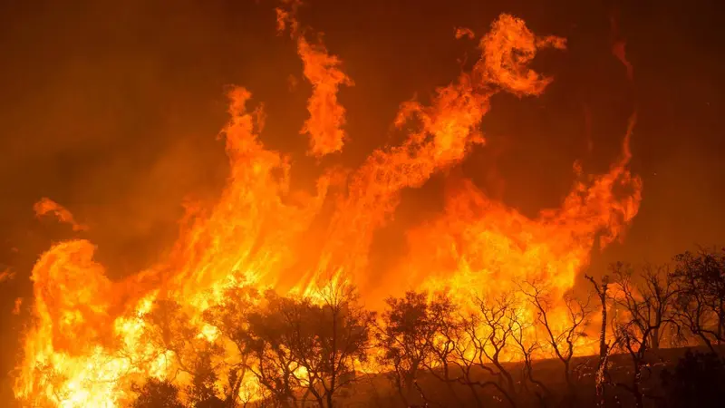 Incendies et chasse : pendant que certains s’agitent d’autres agissent!