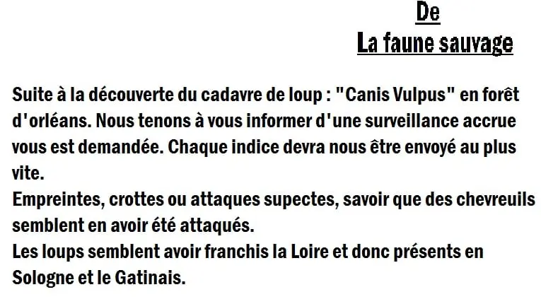 INFORMATION EXCLUSIVE : Présence du loup confirmée en forêt d’Orléans