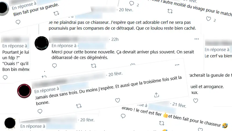 Quand les anti-chasse souhaitent la mort d’un chasseur