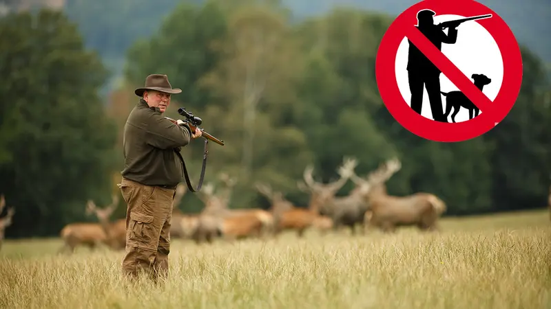 La chasse suspendue à Compiègne et ses alentours demain (samedi 10 novembre)