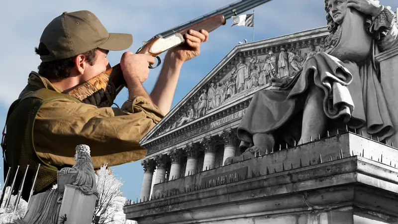 Une proposition de loi pour interdire la chasse le dimanche, les jours fériés et pendant les vacances scolaires