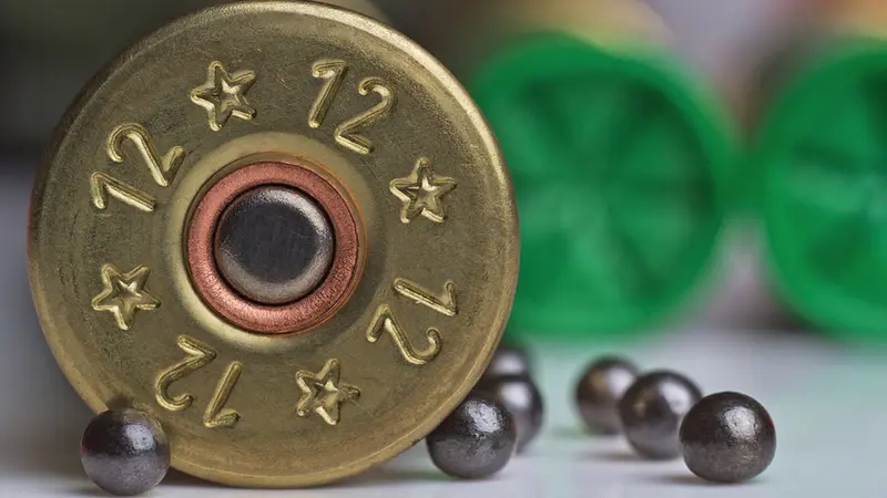 L’agence européenne des produits chimiques préconise d’interdit le plomb à la chasse partout