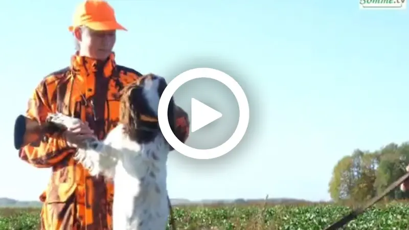 Somme : la fédération organise « la journée du chien de chasse »