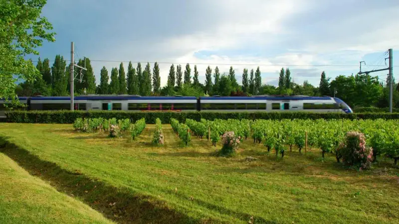 Une journée « sans train » organisée pour pouvoir chasser aux abords