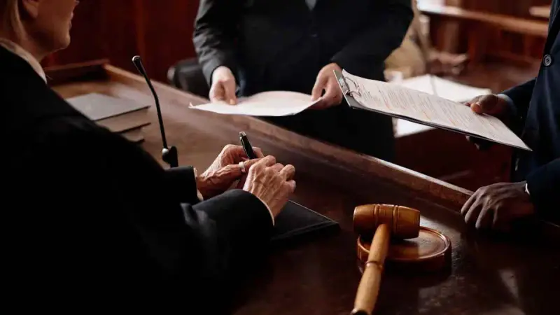 Trois élus-chasseurs relaxés par le tribunal après une procédure initiée par une élue socialiste