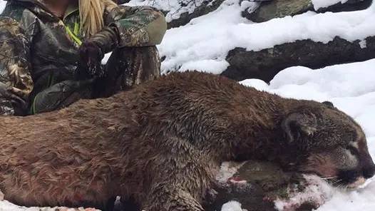 La haine sans limite des anti-chasse