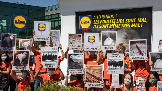 L214 perçoit une subvention américaine de 1 228 000€