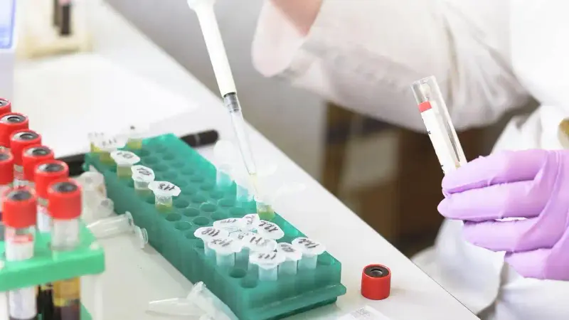 laboratoire